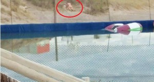 Las Grutas: Sexo en la playa