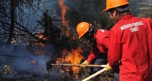 Chubut: Habrá aumento de salarios para brigadistas