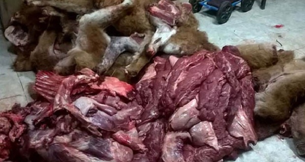 carne-huanaco