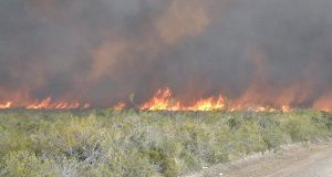 Chubut: Fue extinguido el incendio de campos al norte de Puerto Madryn