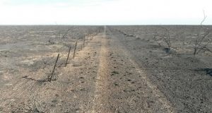 Chubut: Sigue controlado el incendio de campos al norte de Puerto Madryn