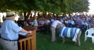 Esquel: El gran campeón de la Rural se vendió en 60 mil