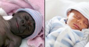 Horror y misterio por bebé mitad humano, mitad gorila