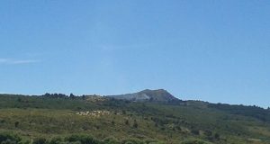 Chubut: Das Neves destacó la rápida respuesta apenas se inició el incendio en Cholila