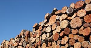 Chubut: El Gobierno completó transferencia de fondos del Plan Calor a todos los municipios de la Provincia