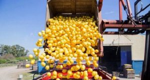 Cuáles son los 17 países donde la Argentina busca expandir su mercado