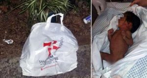Un perro encontró a un bebé de 28 días abandonado en la calle