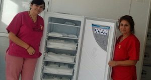 Chubut: Salud incorporó equipamiento para reforzar cadena de frío del Programa de Vacunas