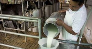 Argentina es el segundo país con la leche más cara del mundo