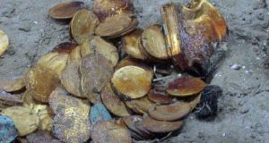 De vacaciones en Turquía, halló 13 monedas históricas mientras buceaba y fue su desgracia