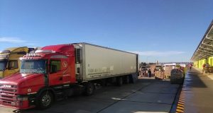 Chubut: El Mercado Concentrador se afianza como punto estratégico de venta