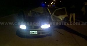 Cholila: Brutal choque entre un coche y un caballo