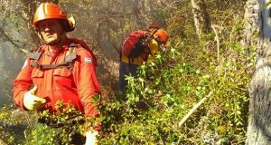 Corcovado: Brigadistas continúan con los trabajos para controlar incendio