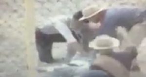 Madryn: Jinete muere en Festival de Doma de la Fiesta del Cordero