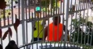 Un funcionario público es asesinado a quemarropa en Colombia y quedó registrado en cámara
