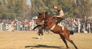 Chubut: Corcovado y Aldea Apeleg inician el calendario de Fiestas Populares