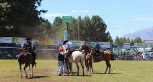 Trevelin: Todo listo para la Fiesta del Ternero