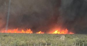 Madryn: Cortan la Ruta 3 por incendio de pastizales