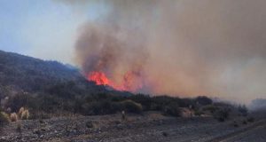 Maitén: Personal del Servicio Provincial del Manejo del Fuego controló en pocas horas un incendio desatado en la zona