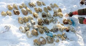 Macabro hallazgo de 27 pares de manos en un río congelado en Rusia