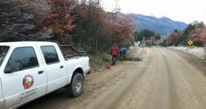 El Servicio Provincial de Manejo del Fuego trabaja en la prevención de incendios forestales