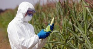 Científicos argentinos alertan por la difusión generalizada del glifosato