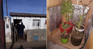 Trevelin: Allanamientos por drogas