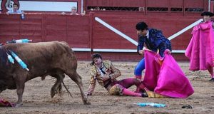 video | Un toro le arrancó parte del cuero cabelludo a un torero en medio de una corrida