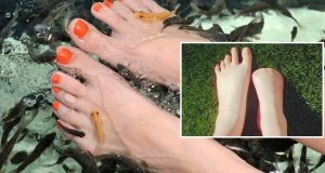 Se hizo un tratamiento en un spa de peces y terminó con todos los dedos de un pie amputados