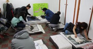 Trevelin | Bomberos presentó nueva unidad adquirida en Alemania