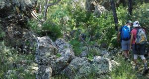 Cordillera | Comienza la actividad “Conocer para valorar”