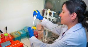 Chile desarrollada una vacuna contra el hantavirus