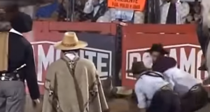 Video | Festival de Jesús María: sacrificaron a un caballo herido en plena competencia