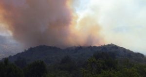 Cordillera: Fiscalía de Estado del Chubut se presentó como querellante por los incendios