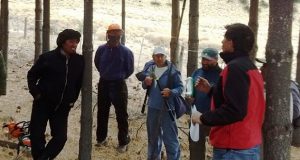 Cordillera | Bosques capacitó a pobladores de Vuelta del Río en manejo de herramientas para poda y raleo