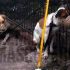 El Maitén endurece las reglas para la tenencia responsable de perros
