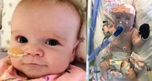 Pequeña gladiadora: soportó una operación de corazón y sobrevivió al coronavirus