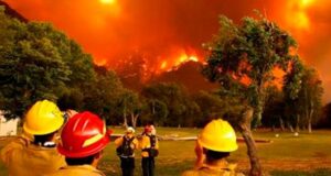 Hoy 4 de mayo se celebra el día internacional del combatiente de incendios forestales