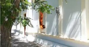 Chubut | Serios incidentes en Casa de Gobierno