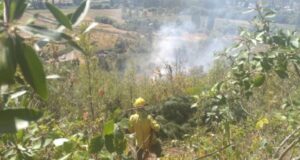 Cordillera | Pararon a tiempo un nuevo incendio por el descuido de un vecino que estaba desmalezando