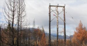 Cordillera | Un atentado dejó sin luz a 17.000 pobladores de la comarca andina
