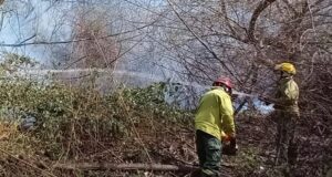 Cordillera | El Hoyo: bomberos y brigadistas debieron intervenir en 5 quemas fuera de control
