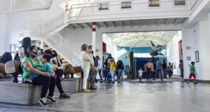 Madryn | El turismo generó ingresos por más de 250 millones de pesos durante el fin de semana largo