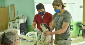 Madryn | El municipio continúa con las campañas gratuitas para mascotas