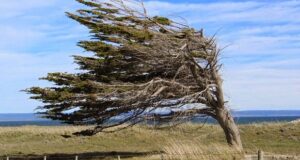 Cordillera | Nuevo alerta amarillo por vientos intensos