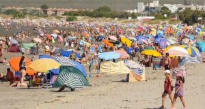 Madryn | La mejor temporada de ballenas de la última década y reservas que superan a la de años anteriores