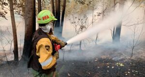 El Ministerio de Seguridad de la Nación colabora con brigadistas y equipamiento en Corrientes