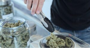 Un hombre amputó su pene tras sufrir un brote psicótico luego de consumir marihuana