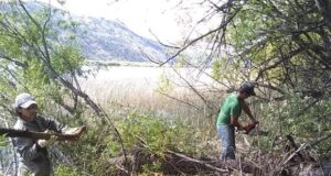 Cordillera | Cholila: Continúan los trabajos de puesta en valor de senderos