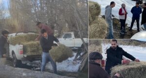 Cordillera | El Gobierno asistió con forraje a productores afectados por el temporal de nieve